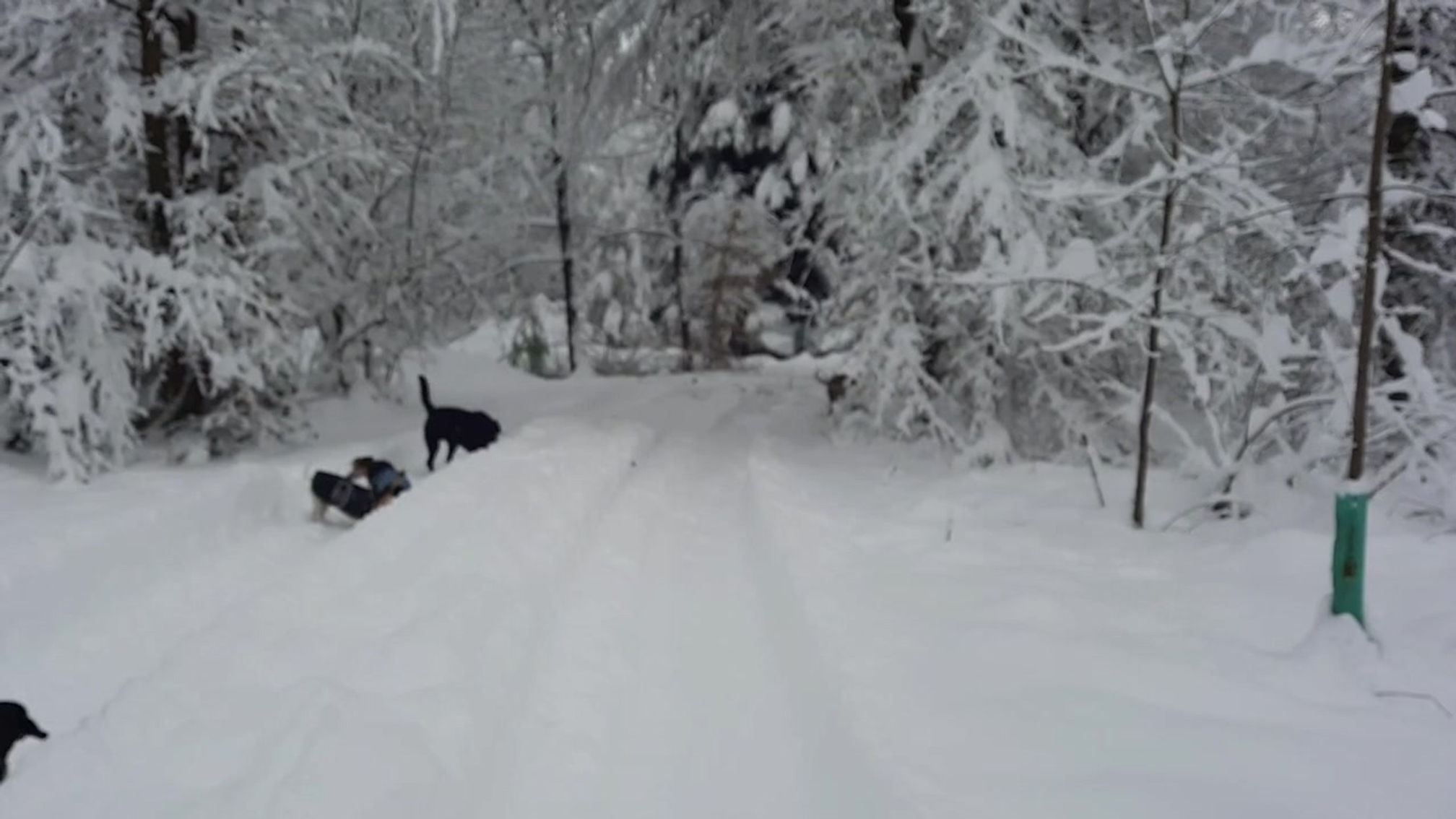 Schneesportschule